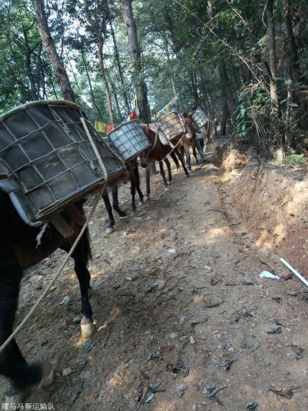 安徽馬幫運(yùn)輸